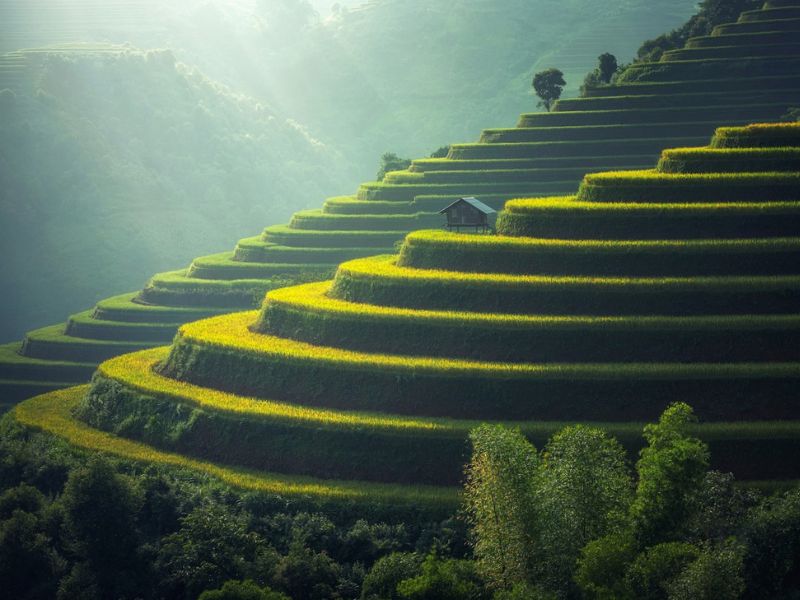 Bali