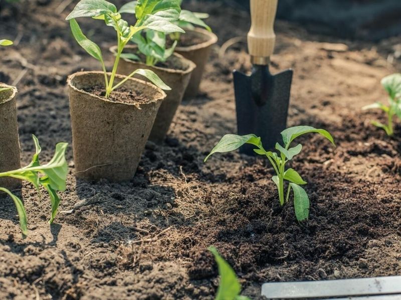 környezettudatos gazdálkodás