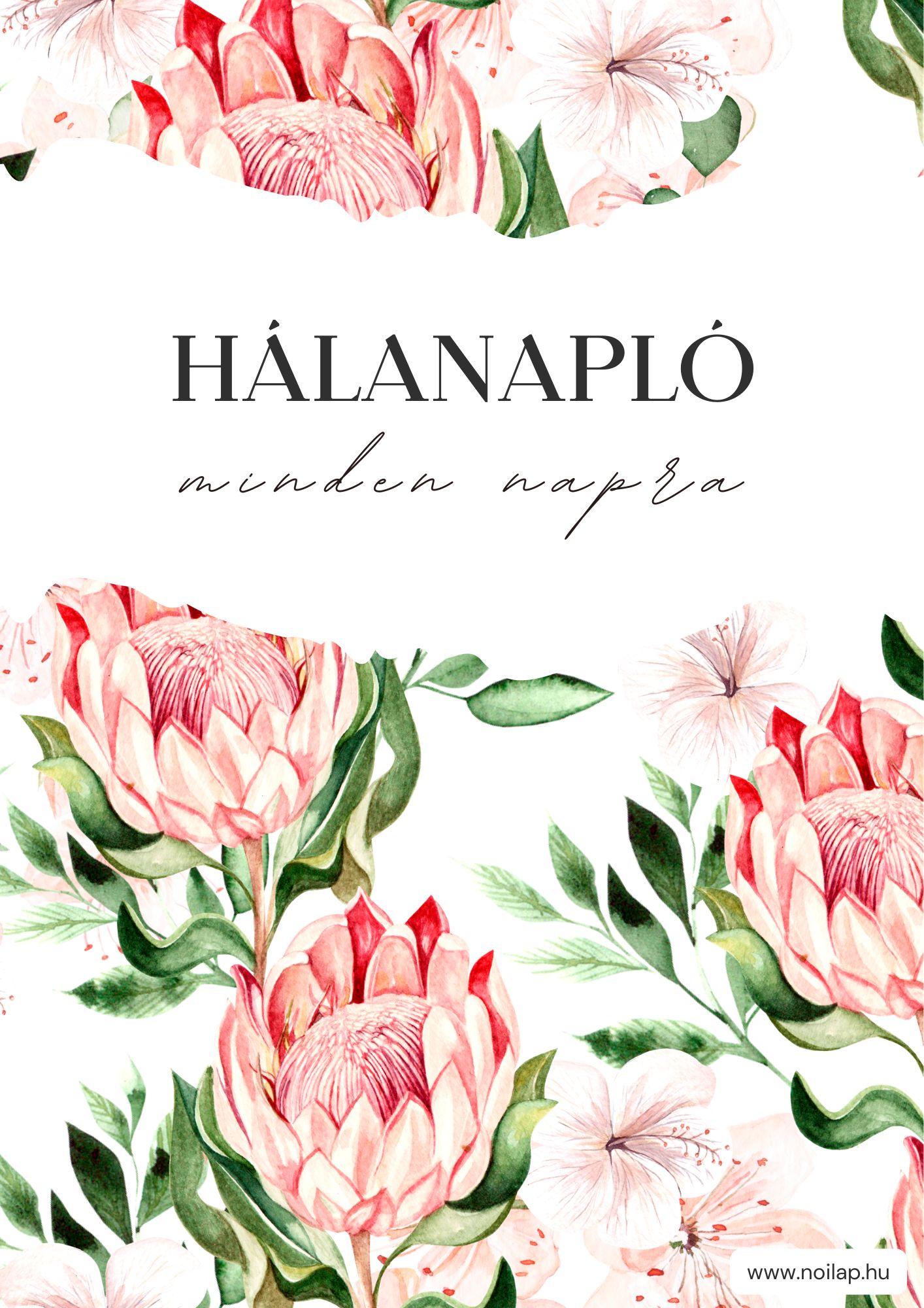 hálanapló írása