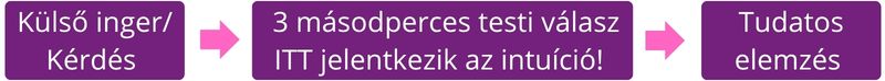 intuíció működése