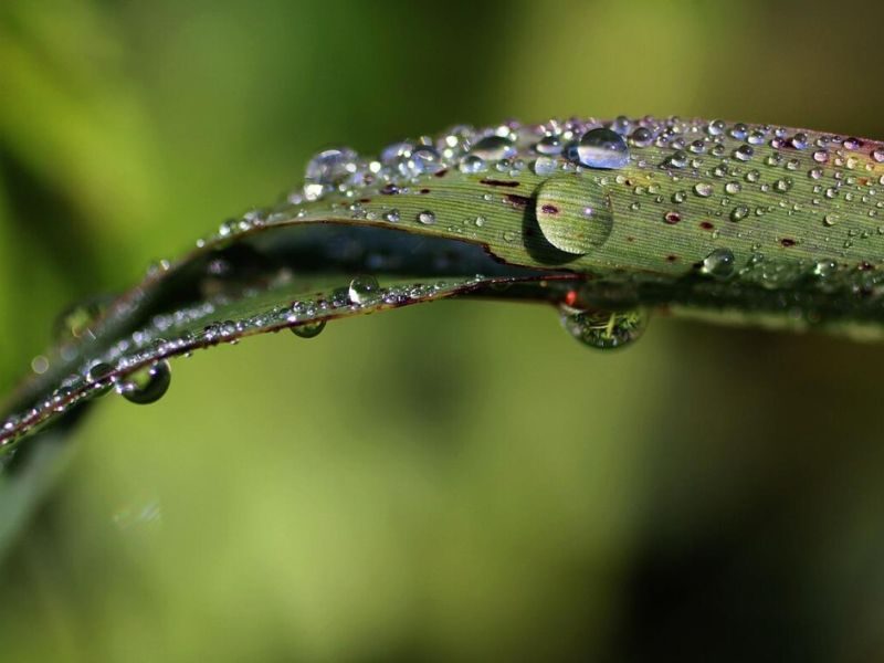 automata öntözőrendszer